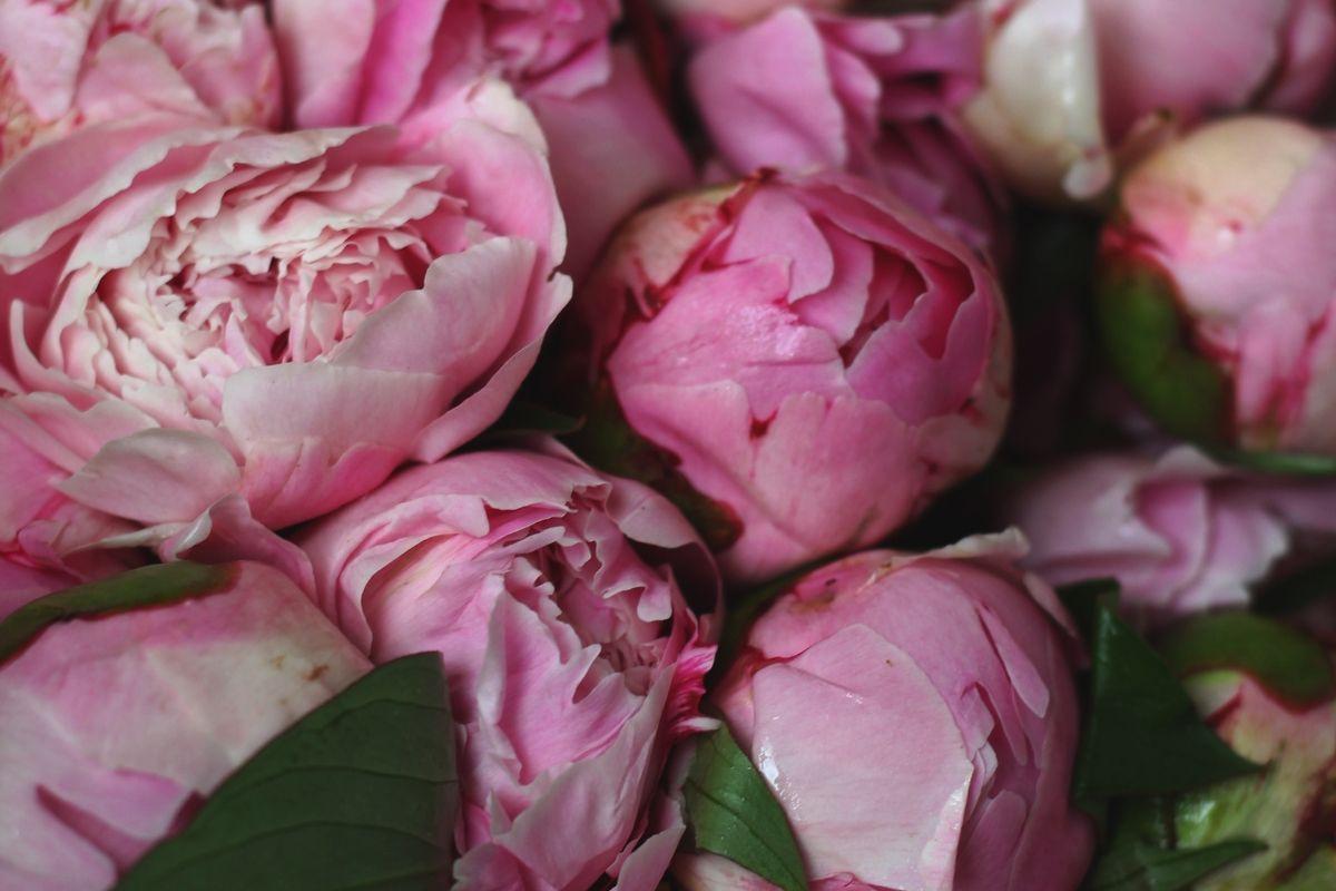 VALENTINSTAG @THE DUCHY 14.02.2026