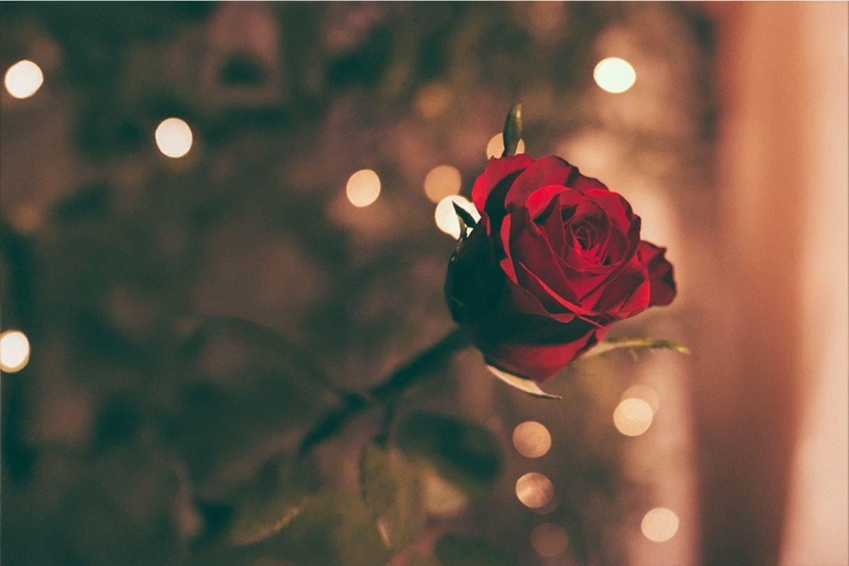 VALENTINSTAG @LOBBY LOUNGE 14.02.2026